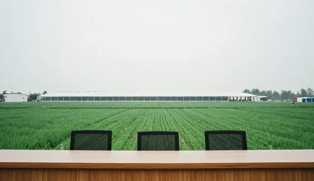 构建高可用架构时的技术支持选型关注点
